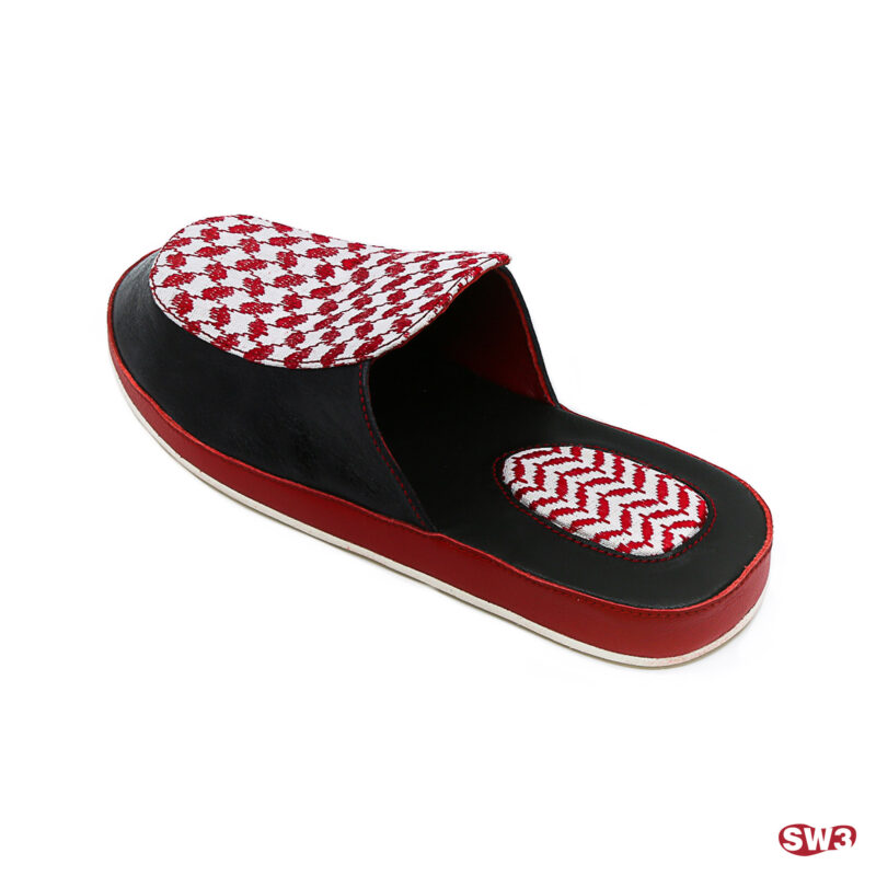 Slide SW3 S030