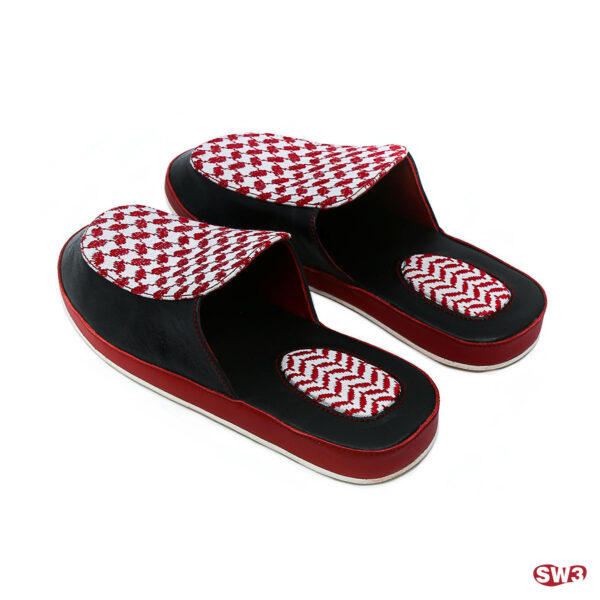 Slide SW3 S030