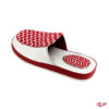 Slide SW3 S043
