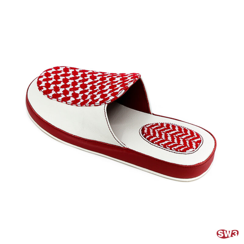 Slide SW3 S043
