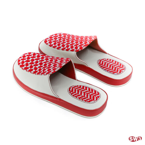 Slide SW3 S043