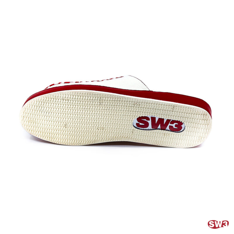 Slide SW3 S043
