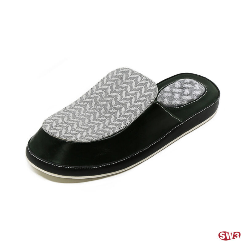 Slide SW3 S062