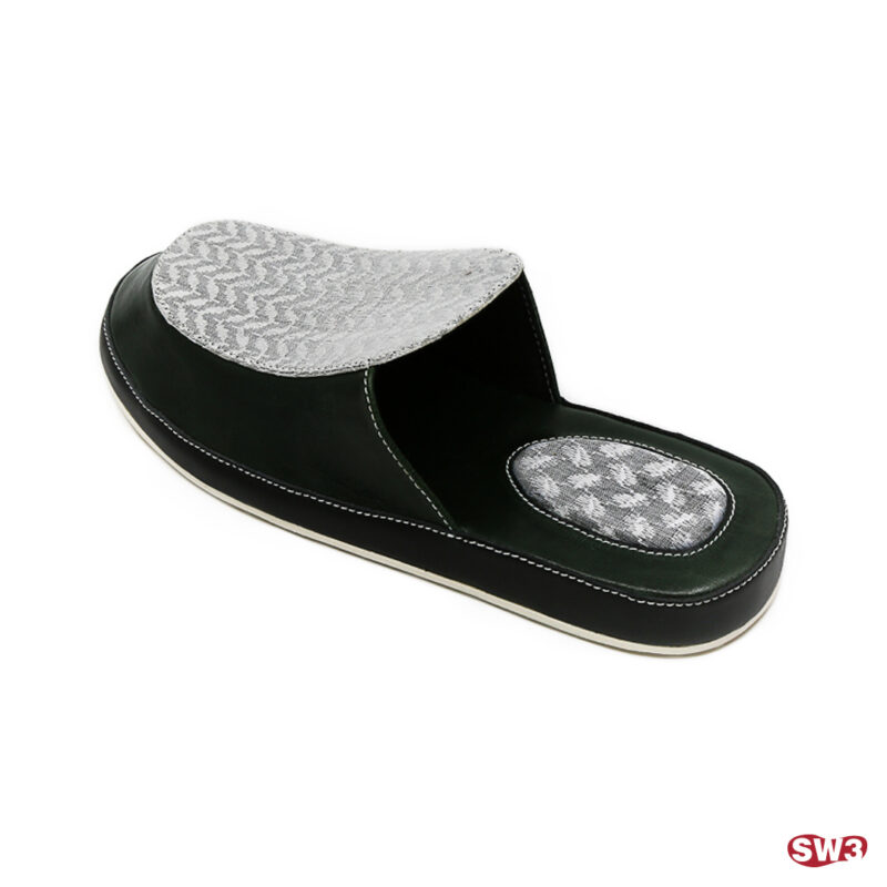 Slide SW3 S062