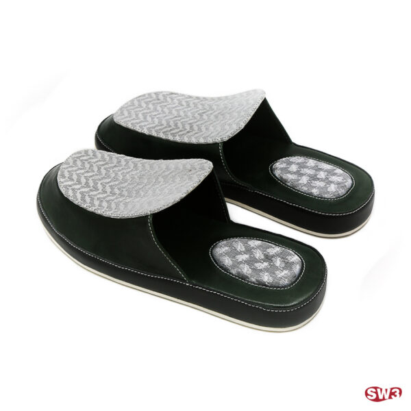 Slide SW3 S062