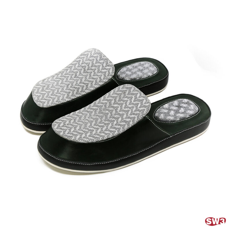 Slide SW3 S062