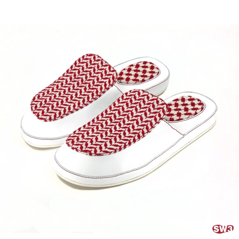 Slide SW3 S054