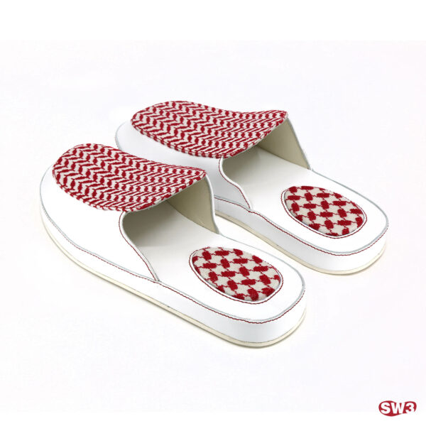 Slide SW3 S054