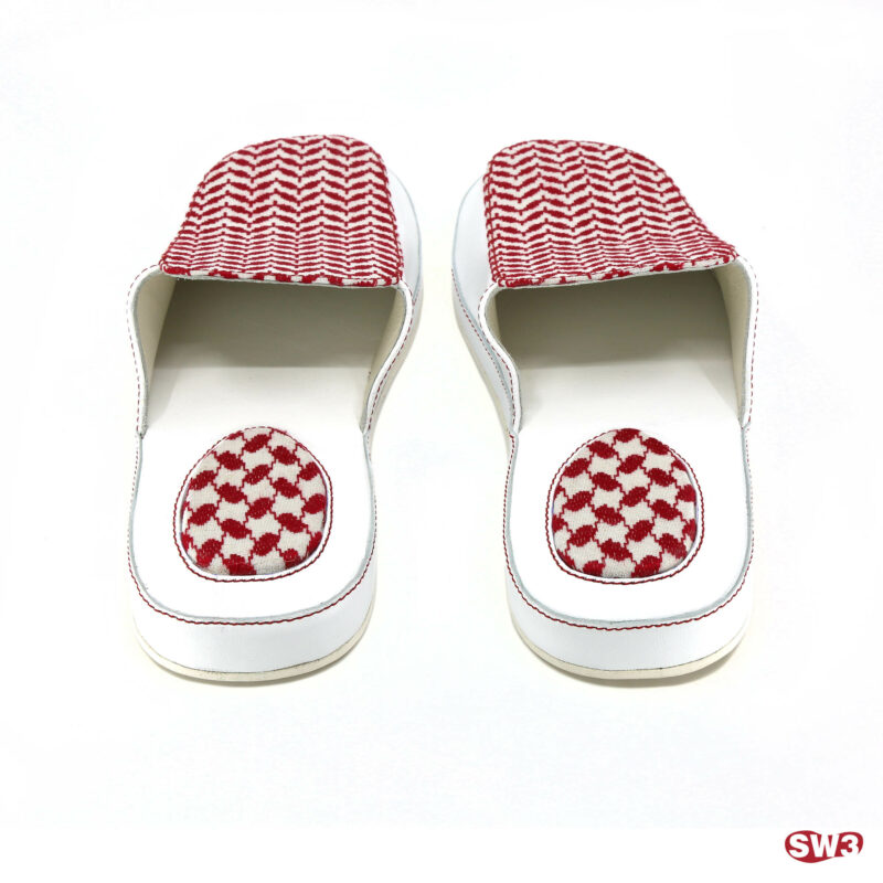 Slide SW3 S054