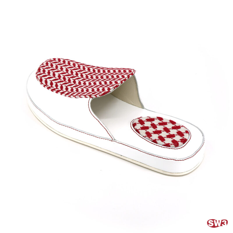 Slide SW3 S054