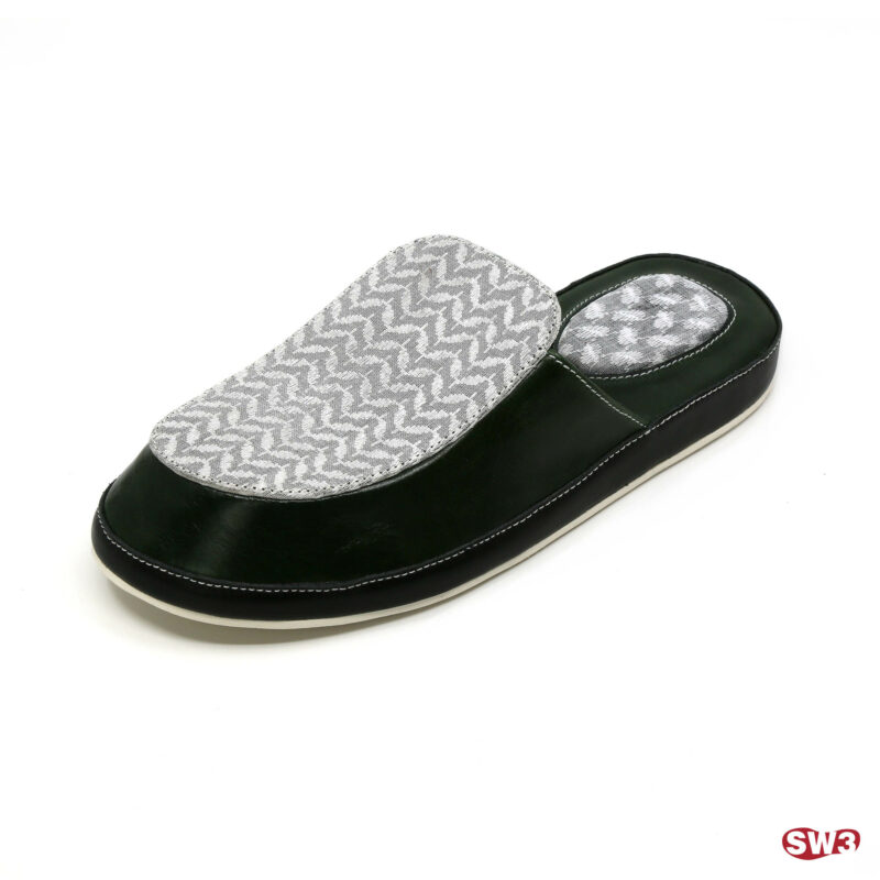 Slide SW3 S044