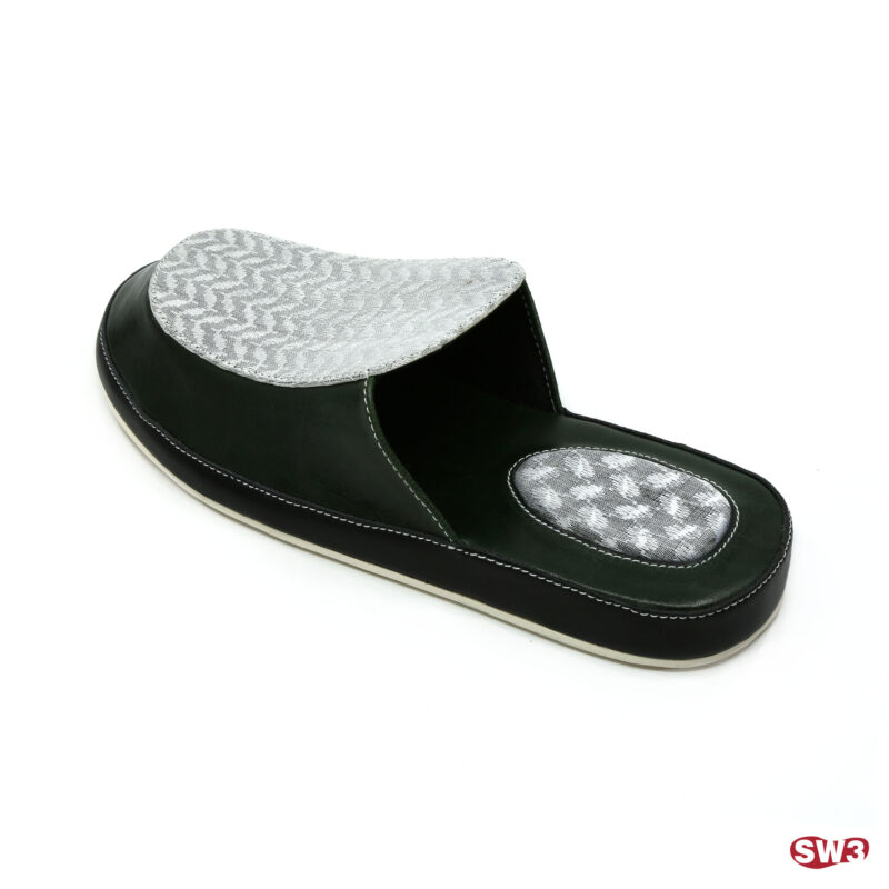 Slide SW3 S044