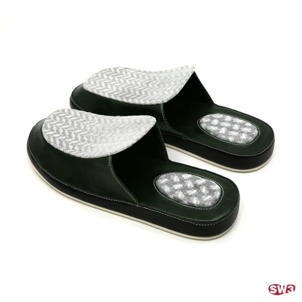 Slide SW3 S044