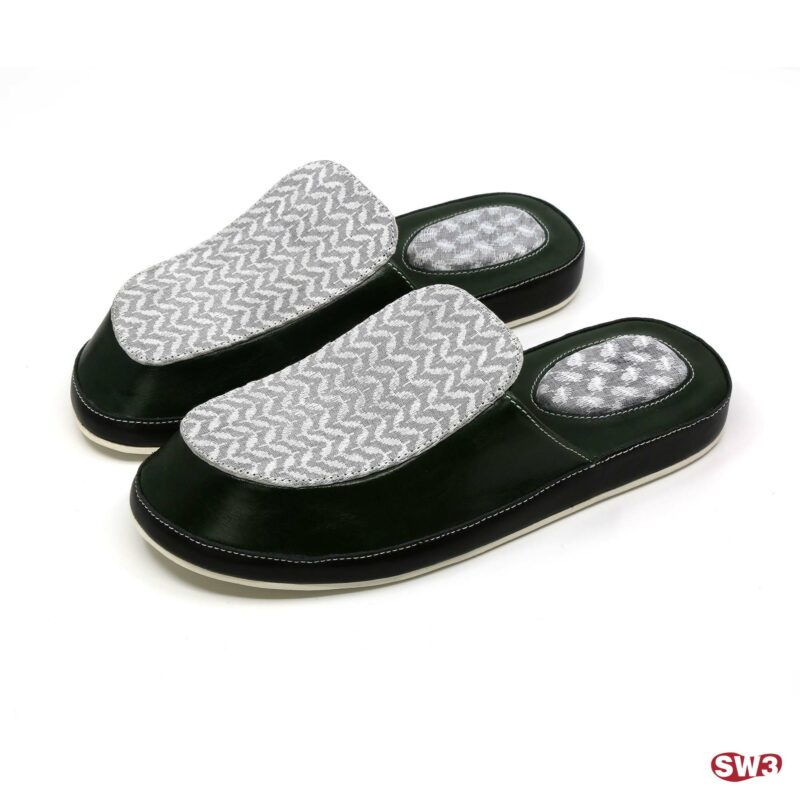 Slide SW3 S044