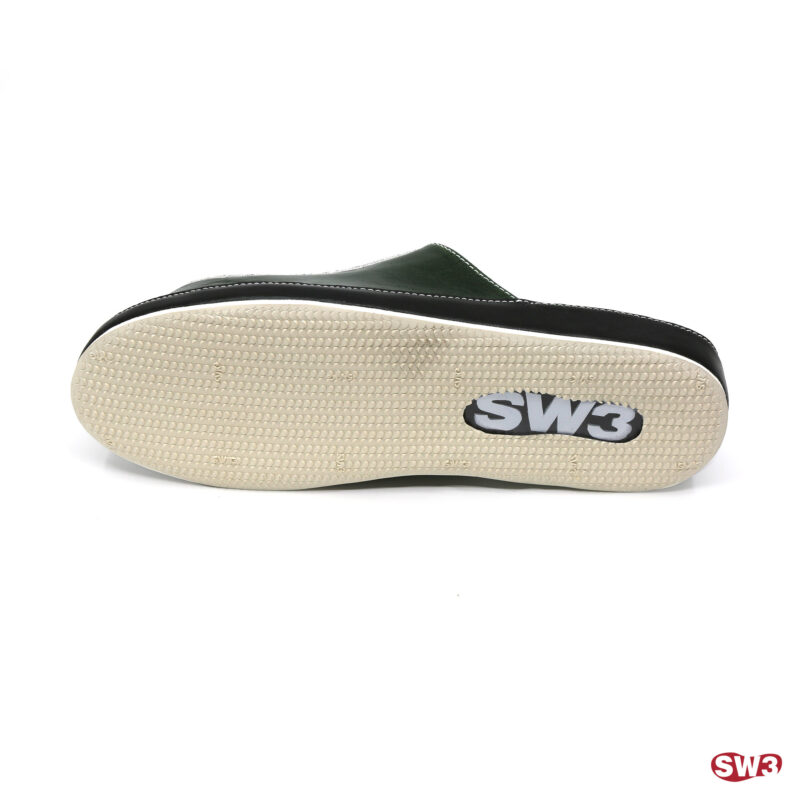 Slide SW3 S044