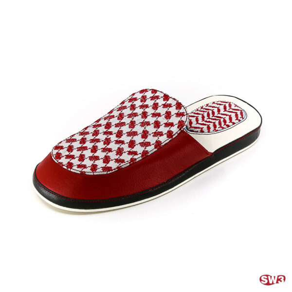 Slide SW3 S035