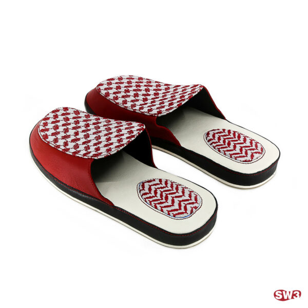 Slide SW3 S035
