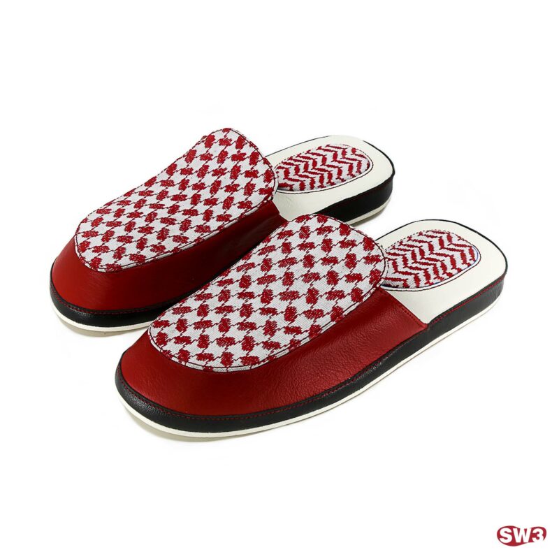 Slide SW3 S035