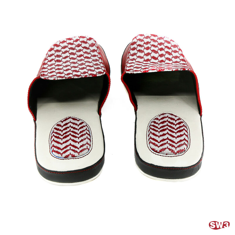 Slide SW3 S035