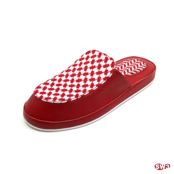 Slide SW3 S065