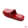 Slide SW3 S065
