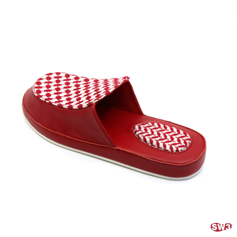 Slide SW3 S065