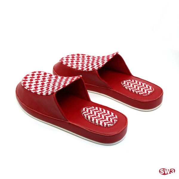 Slide SW3 S065