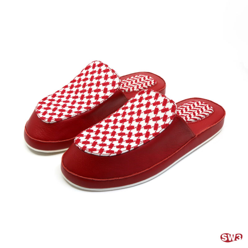 Slide SW3 S065
