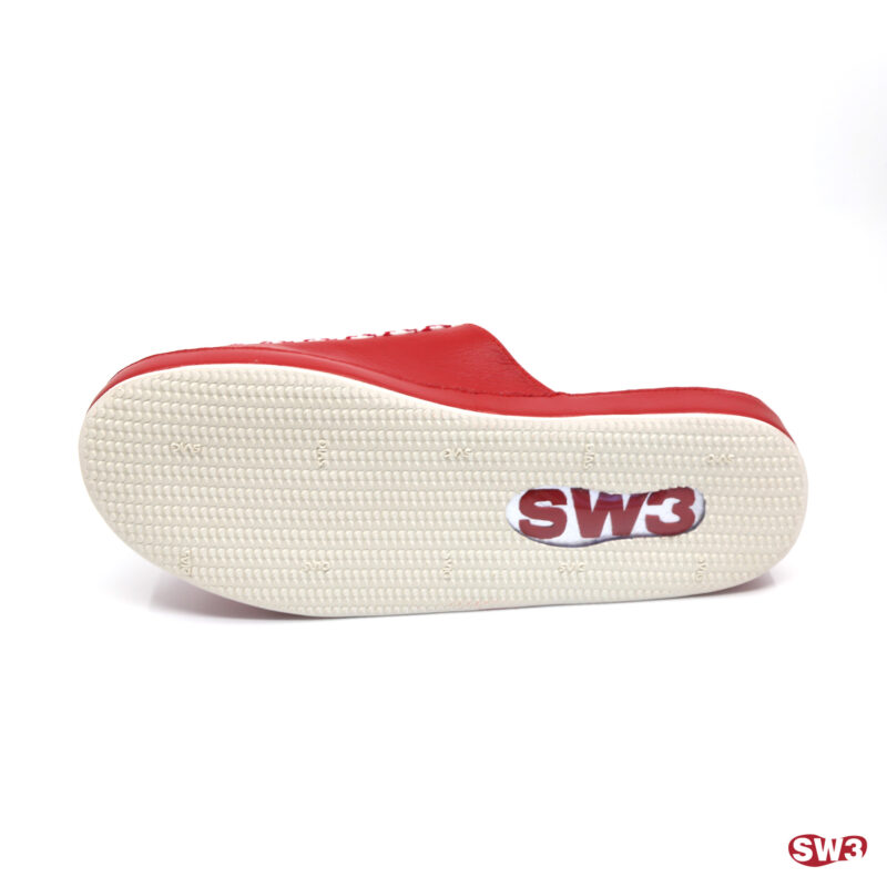 Slide SW3 S065