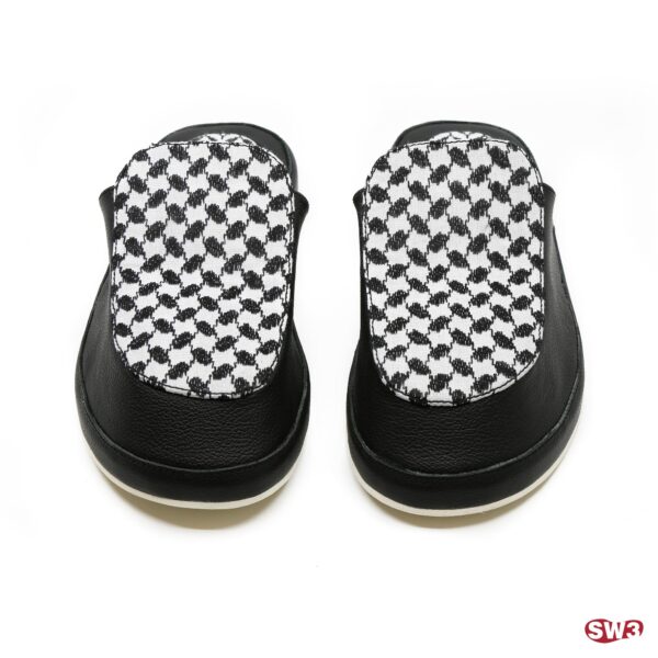 Slide SW3 S077