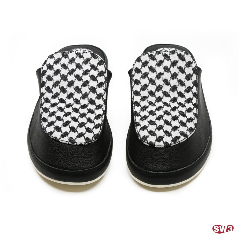 Slide SW3 S077
