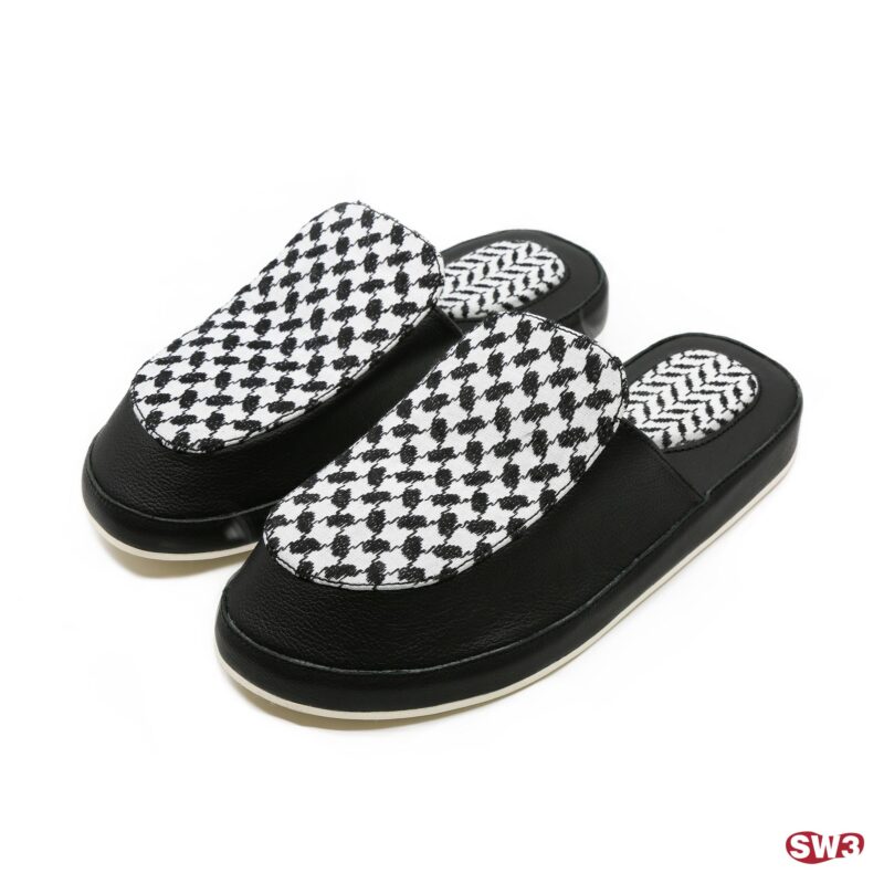 Slide SW3 S077