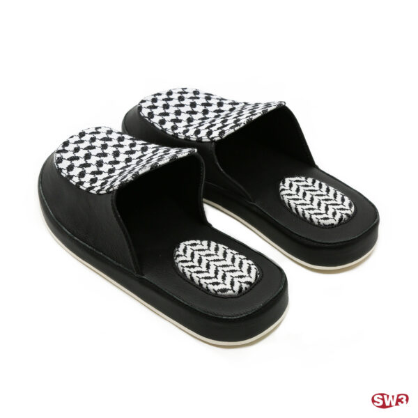 Slide SW3 S077