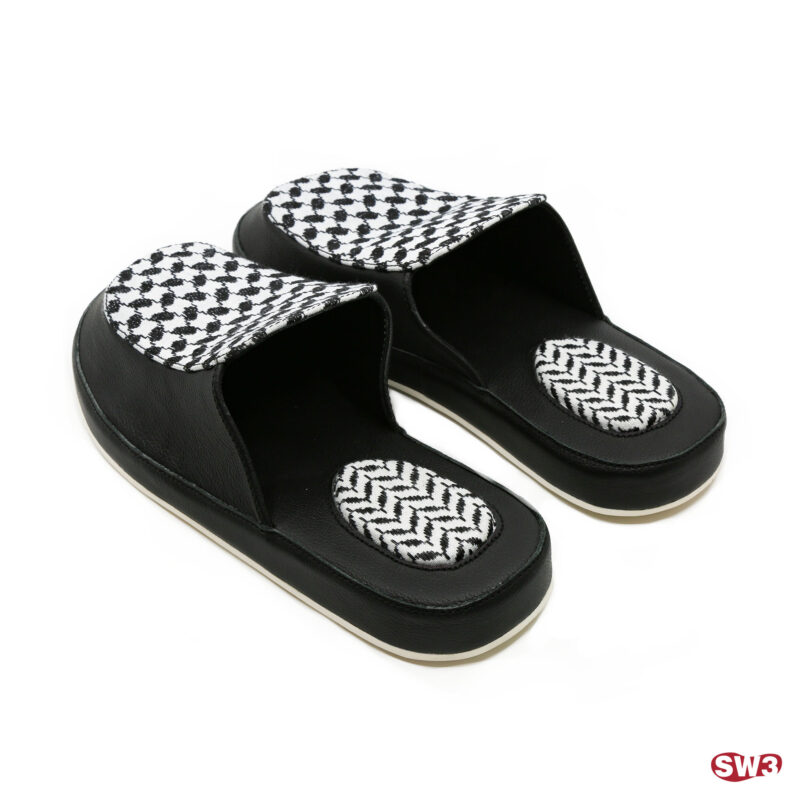 Slide SW3 S077