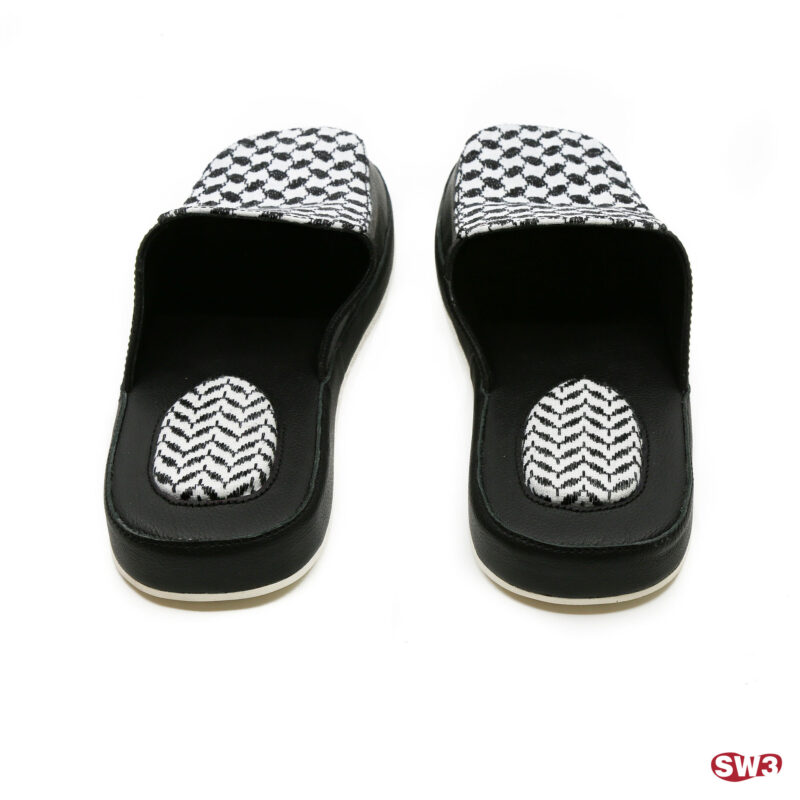 Slide SW3 S077
