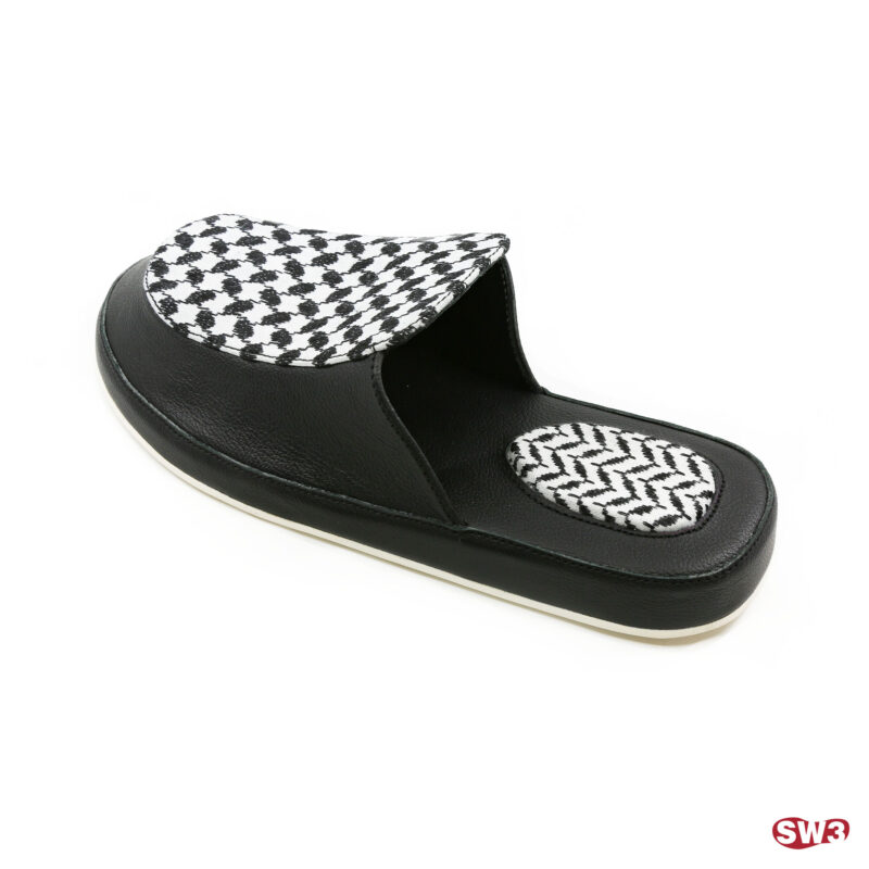 Slide SW3 S077
