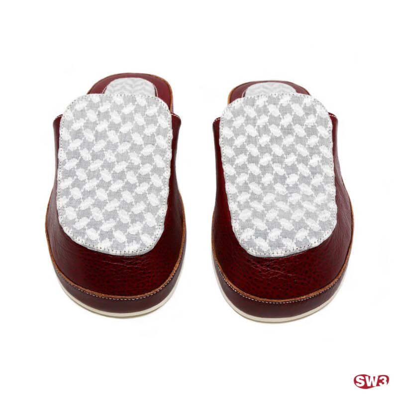 Slide SW3 S079