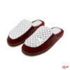 Slide SW3 S079