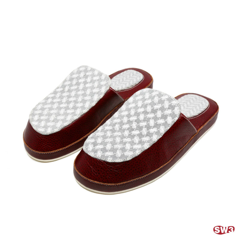 Slide SW3 S079