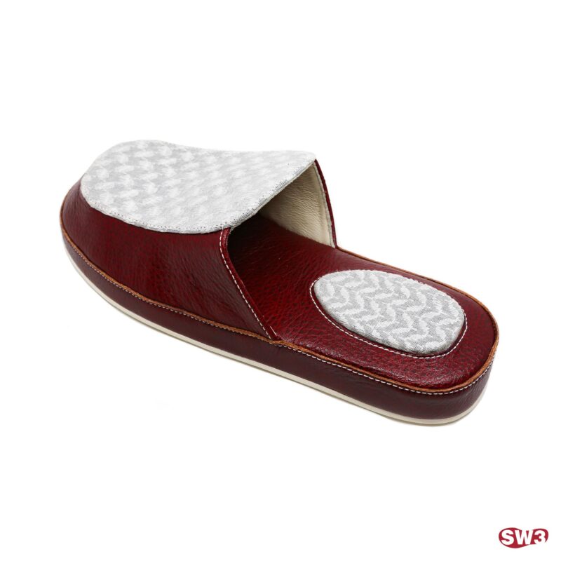 Slide SW3 S079