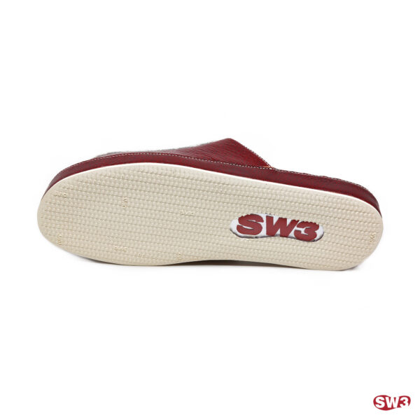 Slide SW3 S079