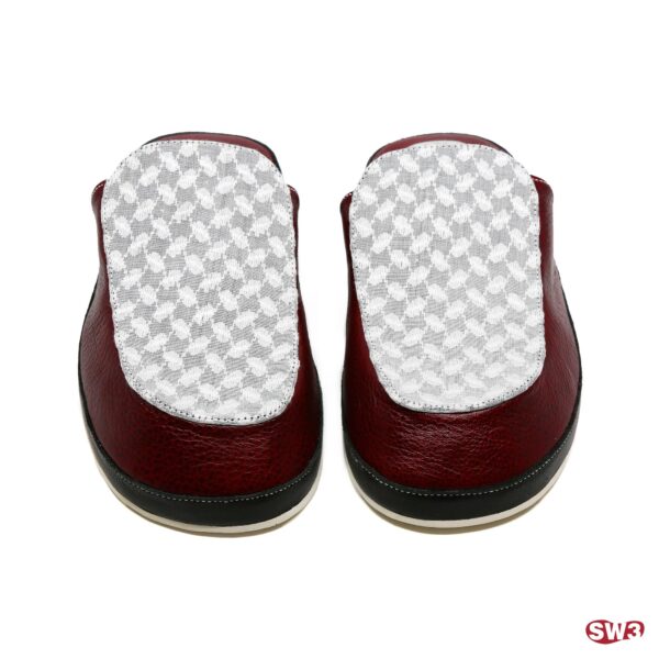 Slide SW3 S082