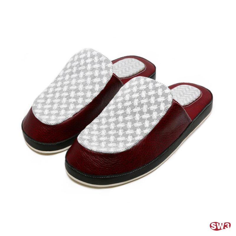 Slide SW3 S082