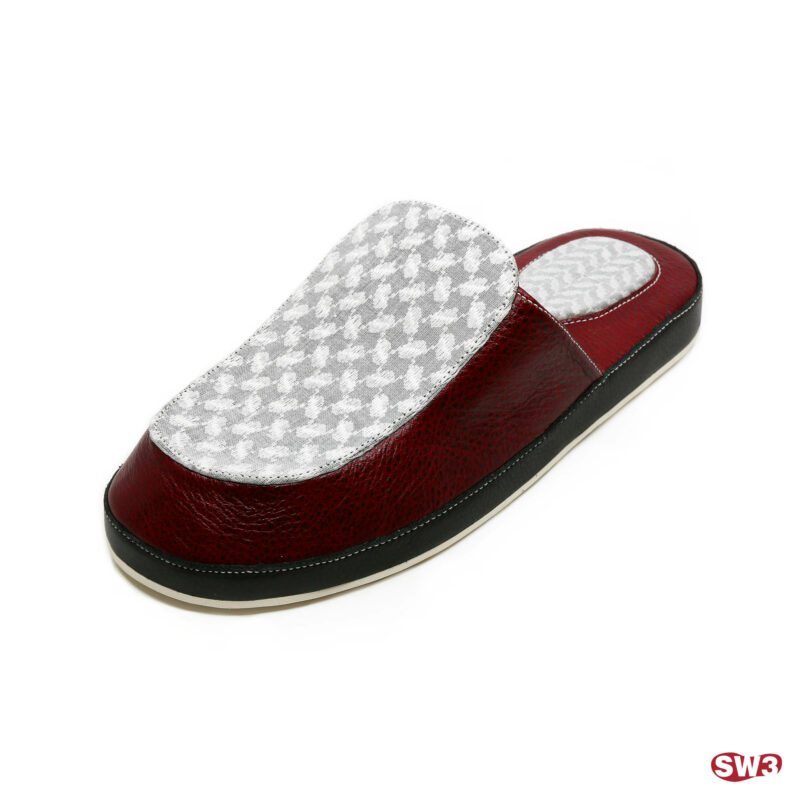 Slide SW3 S082