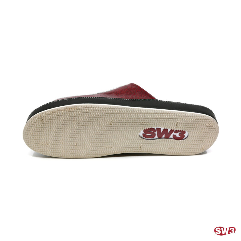 Slide SW3 S082