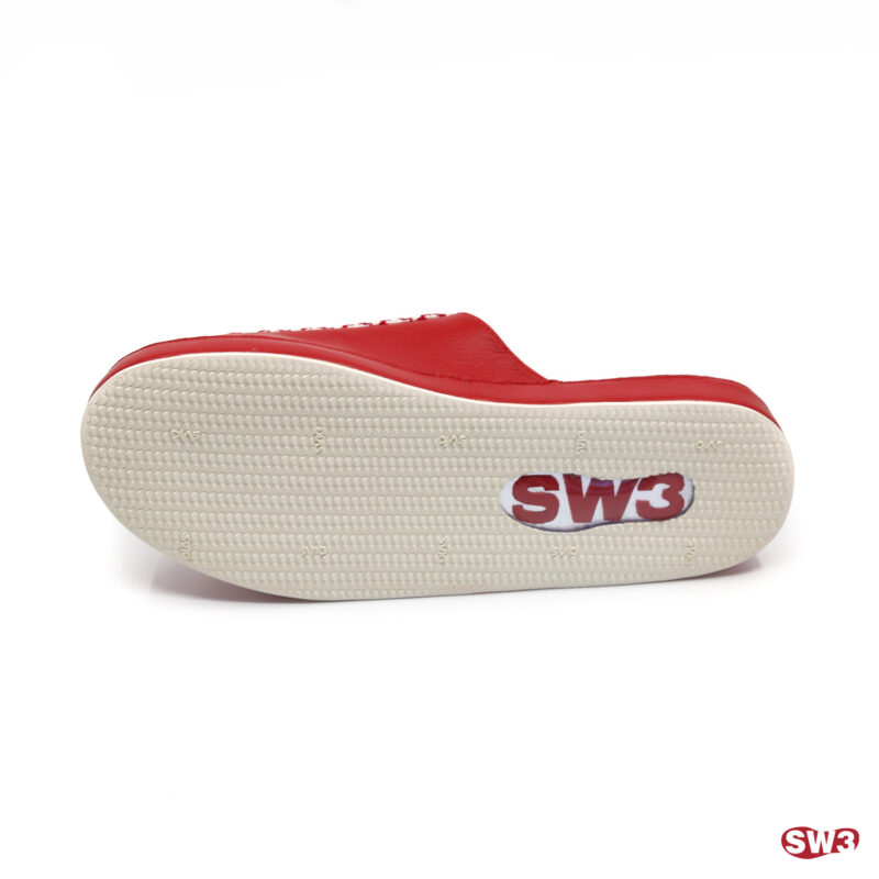 Slide SW3 S001