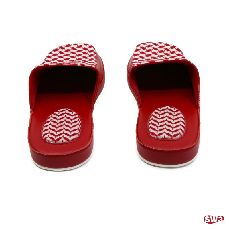 Slide SW3 S001