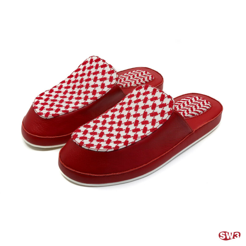 Slide SW3 S001