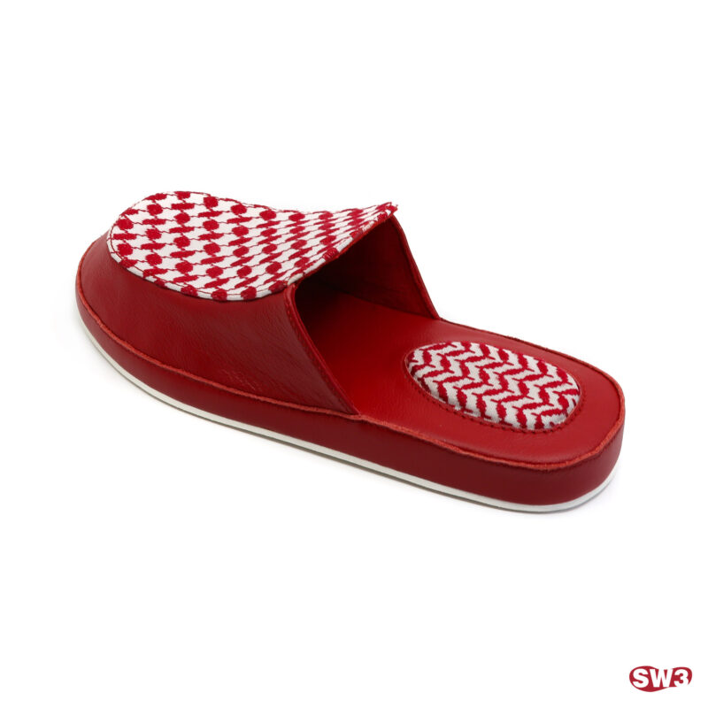 Slide SW3 S001